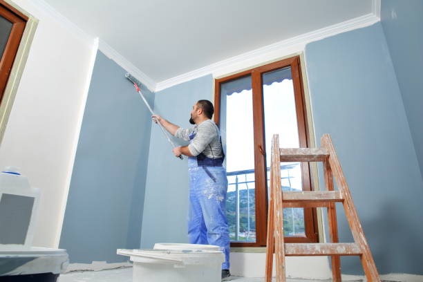 Best Black Mold Removal  in Cedar Hills, UT
