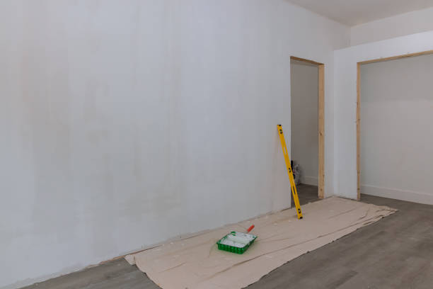Best Basement Mold Removal  in Cedar Hills, UT